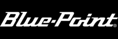 uploads/1747273243_blue-point 230x76.png
